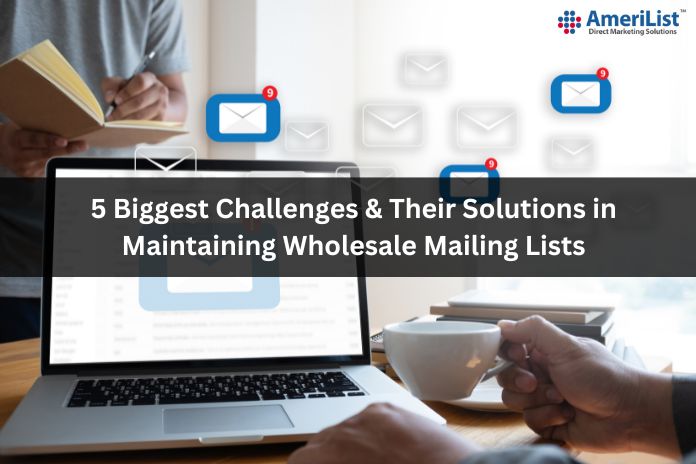 5 Biggest Challenges & Their Solutions in Maintaining Wholesale Mailing Lists