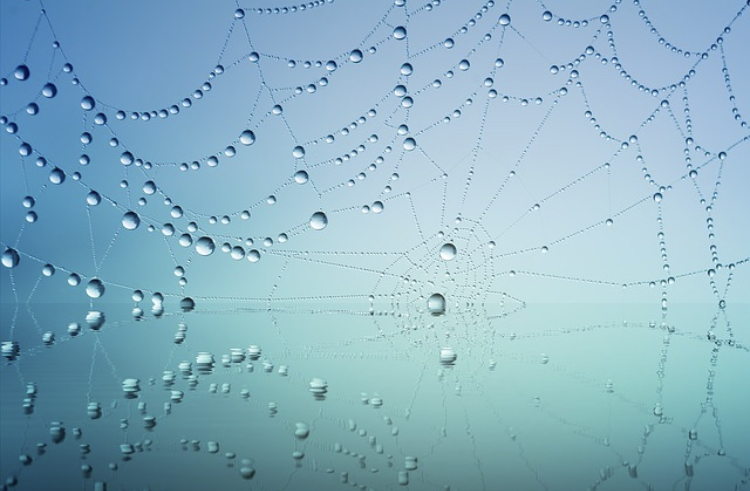 how-to-launch-a-successful-email-drip-marketing-campaign