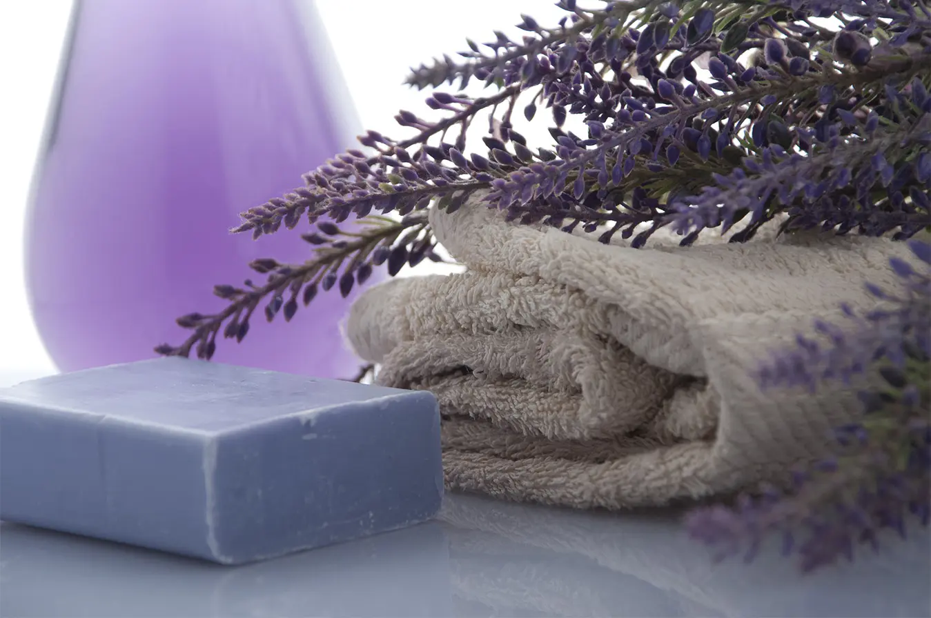 Bedding & Bath Products Mailing List