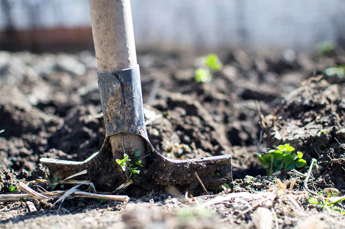 Gardening Product Buyers Mailing List