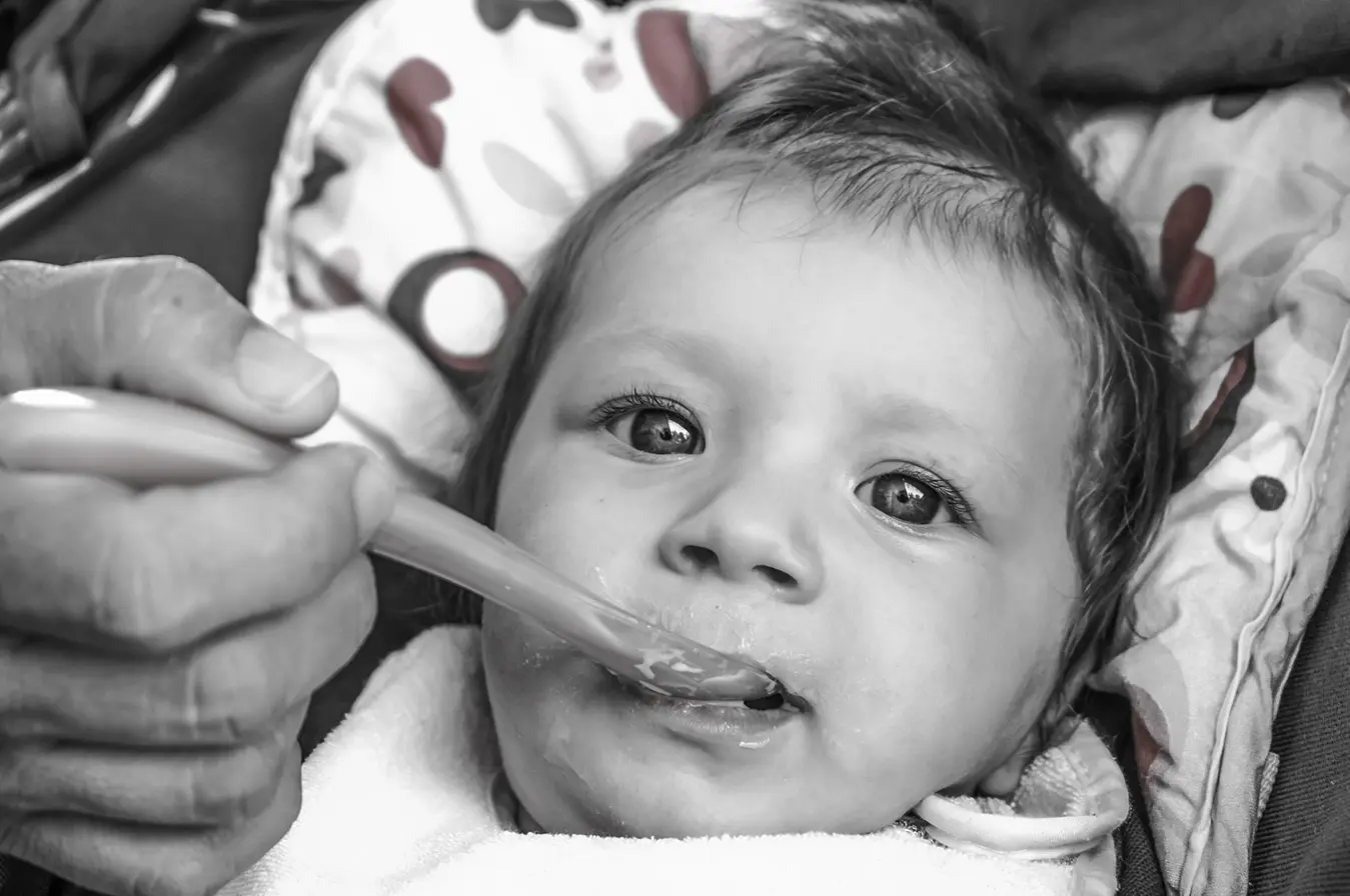Baby Food Buyers Mailing List