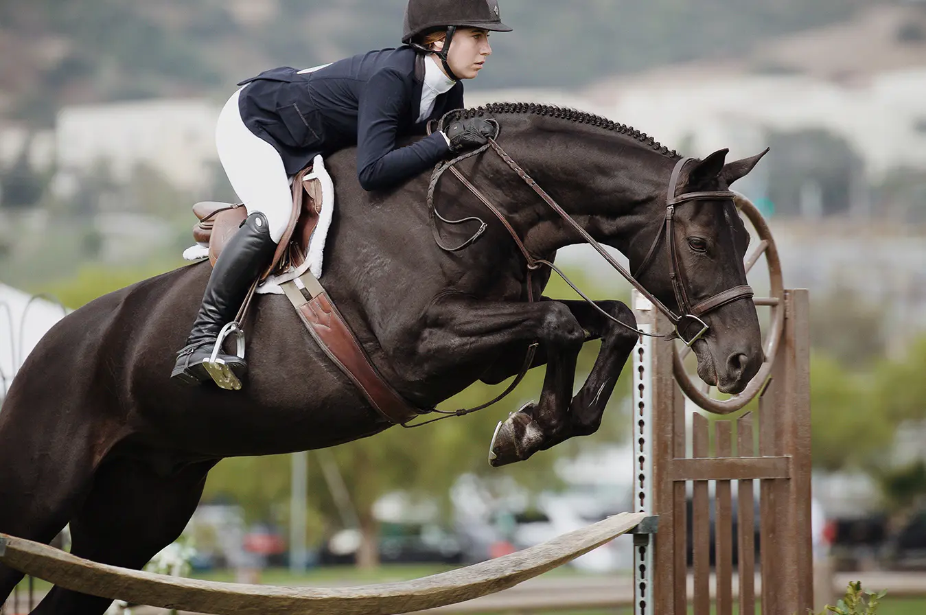Equestrian Sports Spectators & Enthusiasts Mailing