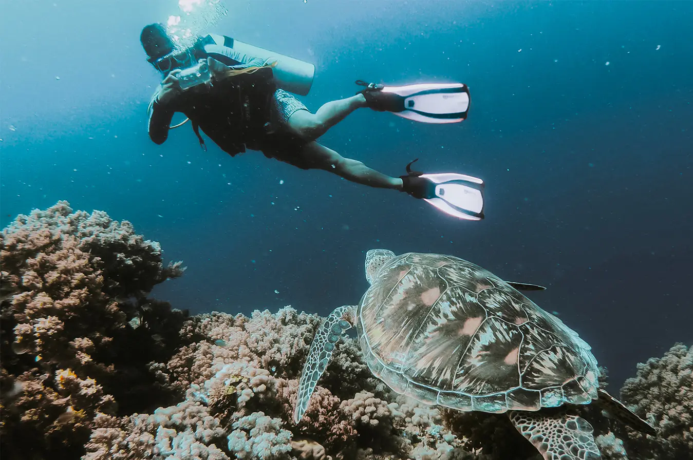 Scuba Diving Enthusiasts Mailing List
