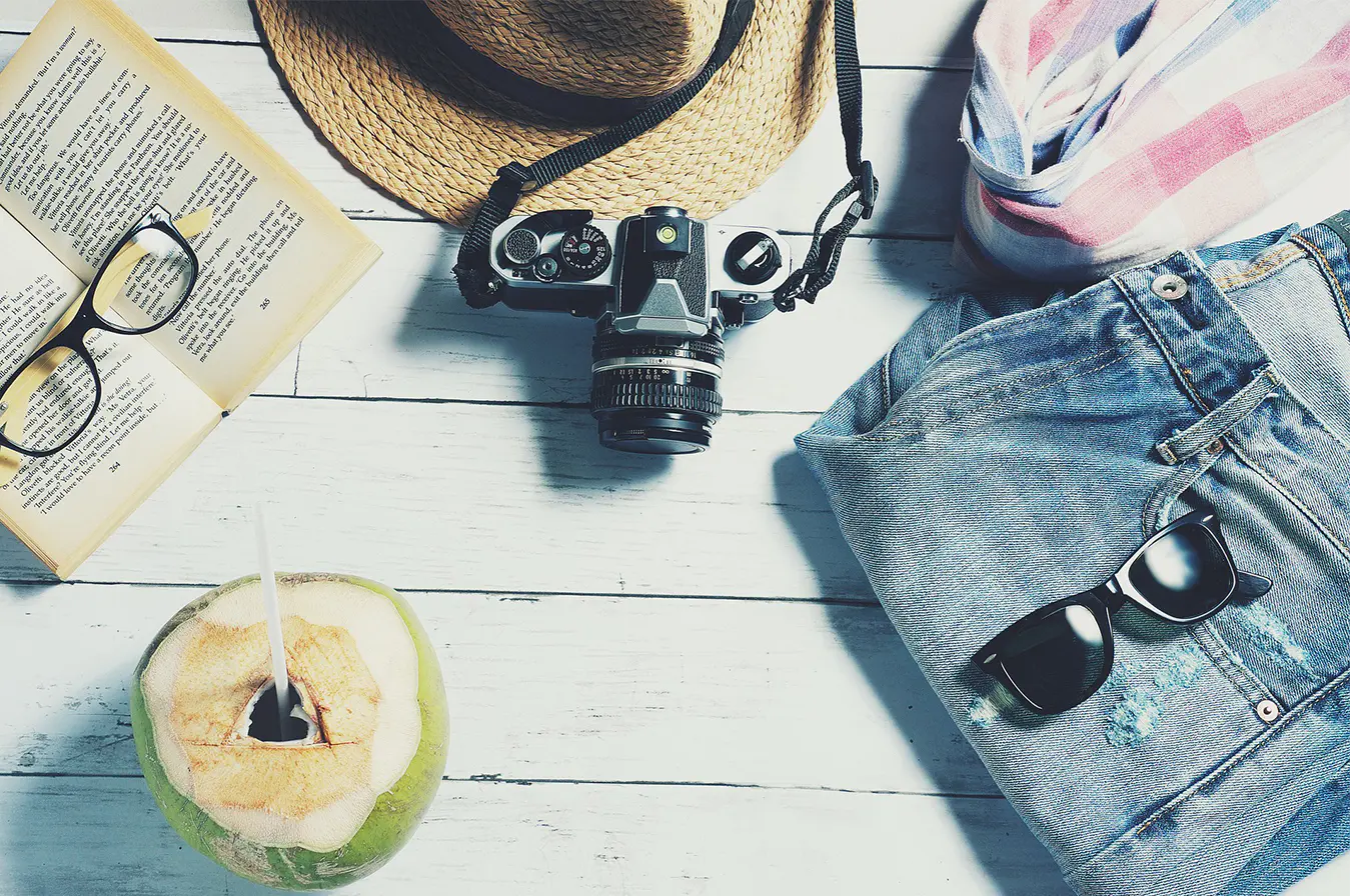 Domestic Travelers Mailing List