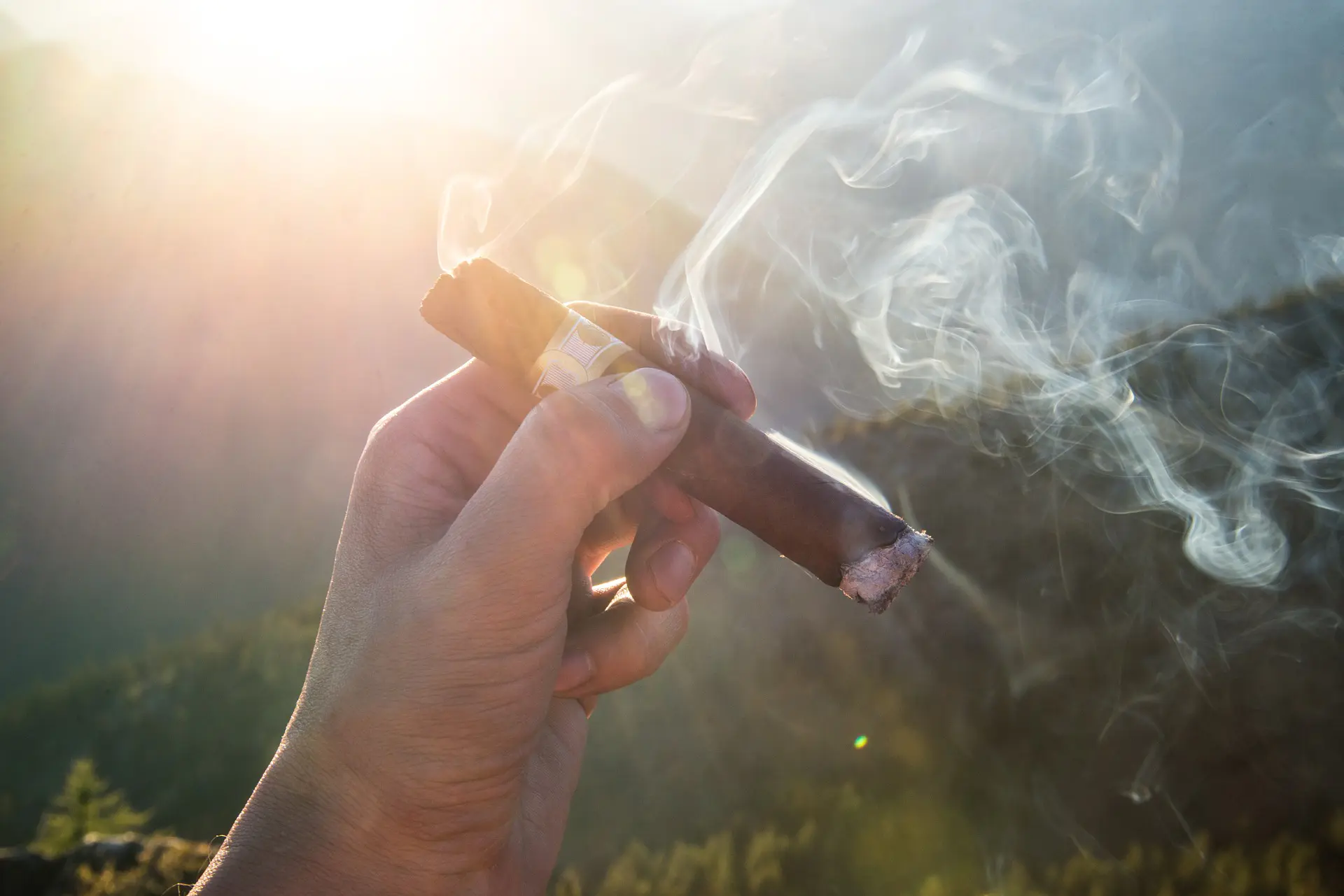 U.S. Smokers Mailing List