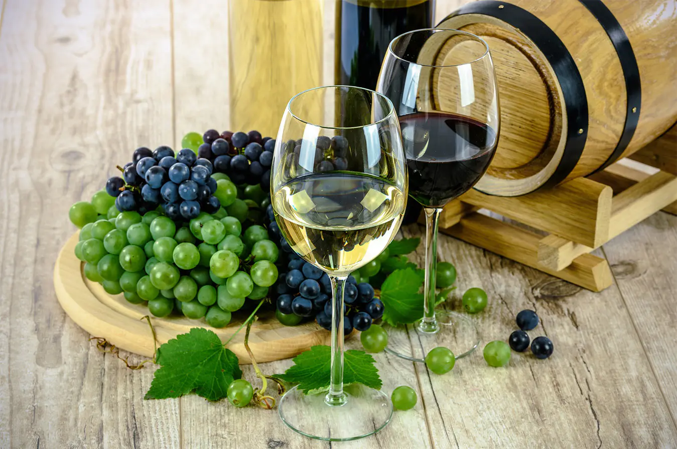 Wine Lovers Mailing List